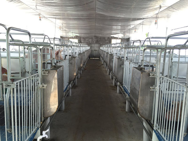 ����Ҧ���i�������Ŀ